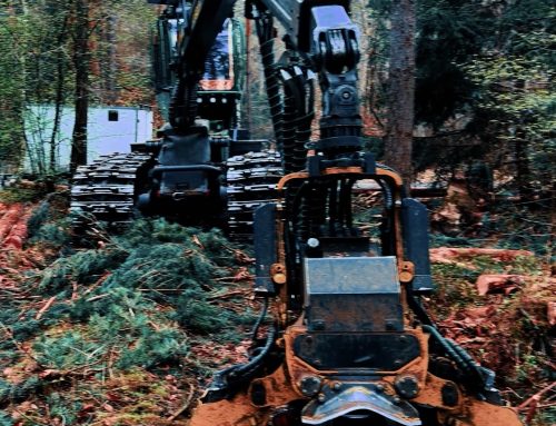 Forstarbeiten im Gebiet des Trailparks Ra(d)tsberg sind im Gange